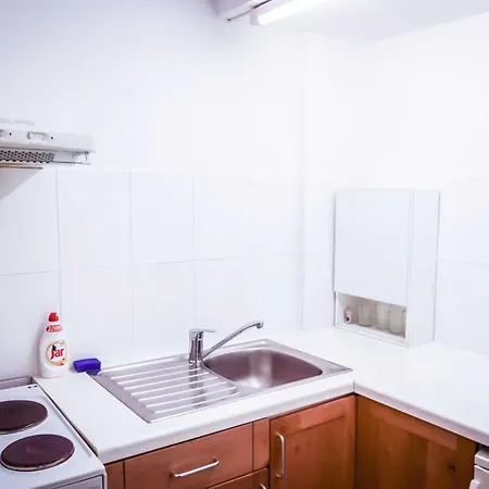 Apartment St.vaclav Prague